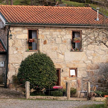 Villa Casa Senhor Da Ponte Mondim de Basto Exterior foto